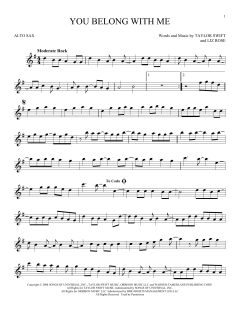 You Belong With Me von Taylor Swift (Download) 