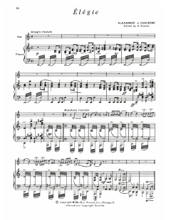 Elegie von Alexandre Duquesne (Download) 