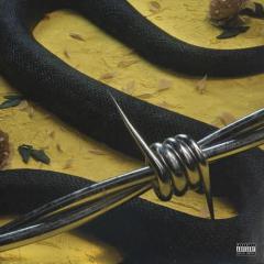 Rockstar (Download) 