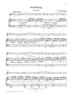 Nachklang von Johannes Brahms (Download) 
