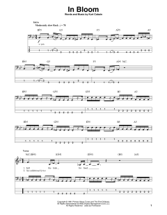 In Bloom von Nirvana (Download) 