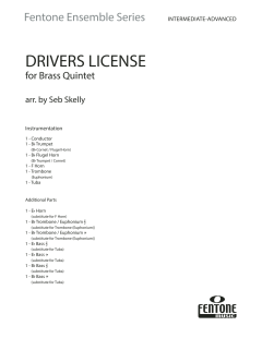 Drivers License von Olivia Rodrigo (Download) 
