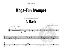 Mega Fun von Stephen Binnington 