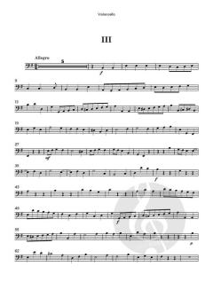 Flute Concerto No. 9 in E minor von Robert Woodcock 