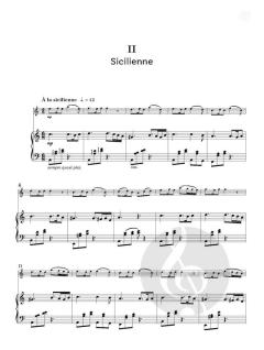 Concertinos for Young Violinists von Nigel Goldberg 