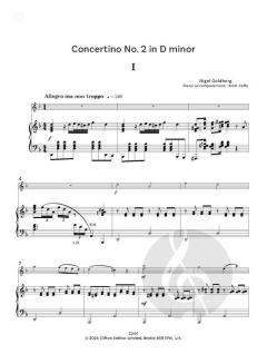 Concertinos for Young Violinists von Nigel Goldberg 