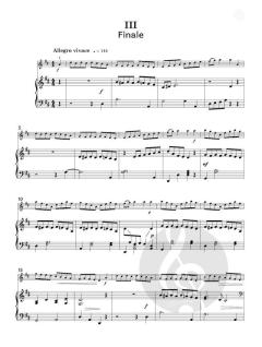 Concertinos for Young Violinists von Nigel Goldberg 