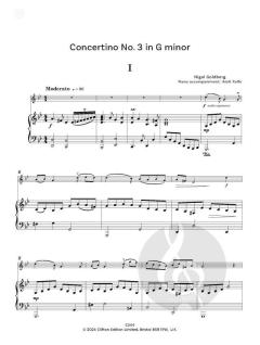 Concertinos for Young Violinists von Nigel Goldberg 