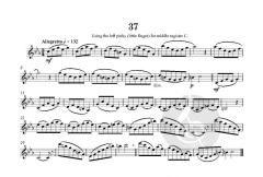Clarinet Studies von Graham Lyons 