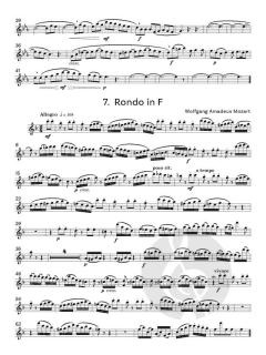 Useful Flute Solos 2 von Graham Lyons 