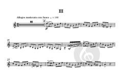 Concerto for Clarinet von James Rae 
