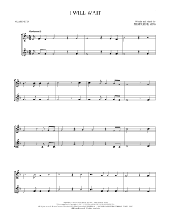 I Will Wait von Mumford & Sons (Download) 