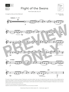 Flight of the Swans von Peter Iljitsch Tschaikowsky (Download) 