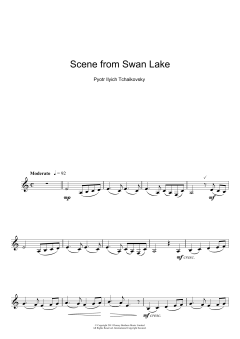 Scene from Swan Lake von Peter Iljitsch Tschaikowsky (Download) 