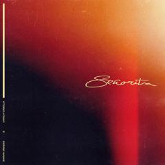 SeÃ±orita von Ben Levin (Download) 