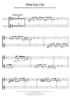 What Can I Do von The Corrs (Download) 