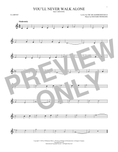 You'll Never Walk Alone von Richard Rodgers (Download) 