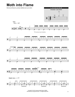 Moth Into Flame von Metallica (Download) 