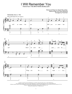 I Will Remember You von Sarah McLachlan (Download) 