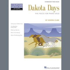 Setting Sun, Shadows Gray von Sondra Clark (Download) 