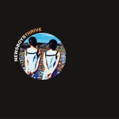 It Is You von Newsboys (Download) 