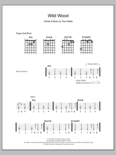 Wild Wood von Paul Weller (Download) 