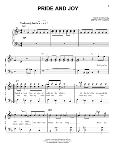 Pride And Joy von Stevie Ray Vaughan (Download) 