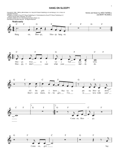 Hang On Sloopy von The McCoys (Download) 