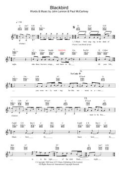 Blackbird von The Beatles (Download) 