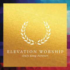 Only King Forever von Steven Furtick & Chris Brown & Wade Joye & Mack Brock (Download) 