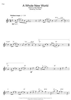 A Whole New World von Tim Rice (Download) 
