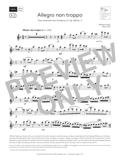 Allegro non troppo (Download) 