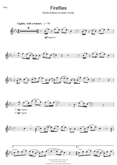 Fireflies von Owl City (Download) 