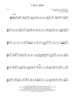 I Will Rise von Chris Tomlin (Download) 
