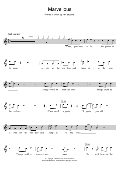 Marvellous von The Lightning Seeds (Download) 
