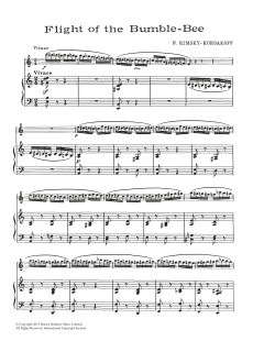 The Flight Of The Bumblebee von Nicolay Rimsky-Korsakov (Download) 
