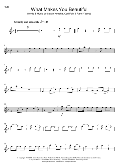 What Makes You Beautiful von One Direction (Download) 