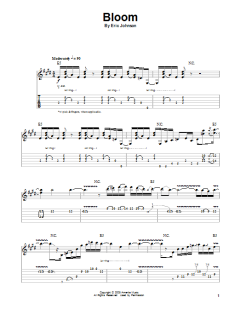 Bloom von Eric Johnson (Download) 