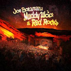 All Night Boogie von Joe Bonamassa (Download) 