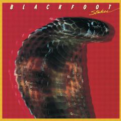 Train, Train von Warrant (Download) 