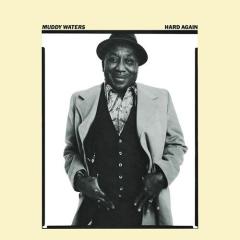 Walking Through The Park von Muddy Waters (Download) 
