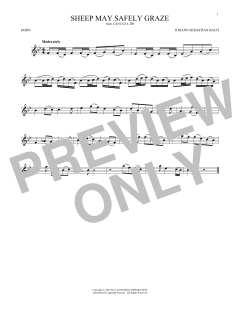 Sheep May Safely Graze (Download) 