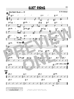 Quiet Rising von Pat Metheny (Download) 
