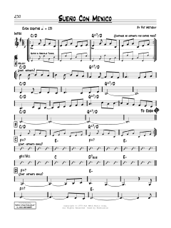 Sueno Con Mexico von Pat Metheny (Download) 