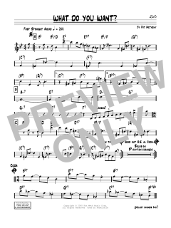 What Do You Want? von Pat Metheny (Download) 