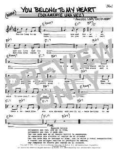 You Belong To My Heart von Ray Gilbert (Download) 