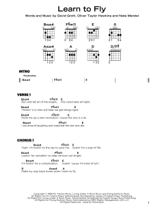 Learn To Fly von Foo Fighters (Download) 