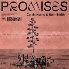Promises von Calvin Harris (Download) 