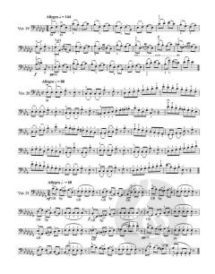 40 Variationen op. 3 von Otakar Ševčík 