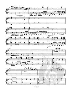 Konzert von Wolfgang Amadeus Mozart (Download) 
